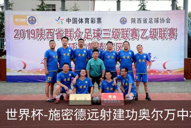 世界杯-施密德远射建功奥尔万中框 半场奥地利1-0约旦